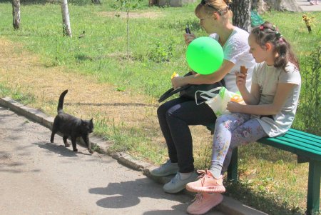 Представление, мастер-классы, кормление животных: в День защиты детей Одесский зоопарк подготовил праздничную программу (фоторепортаж) 