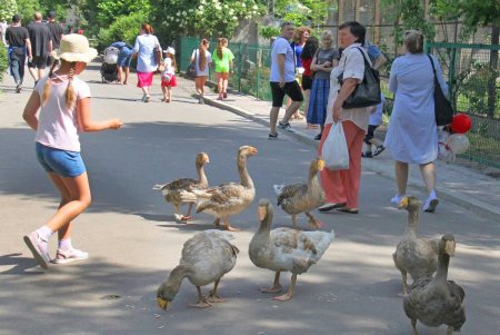 Представление, мастер-классы, кормление животных: в День защиты детей Одесский зоопарк подготовил праздничную программу (фоторепортаж) 