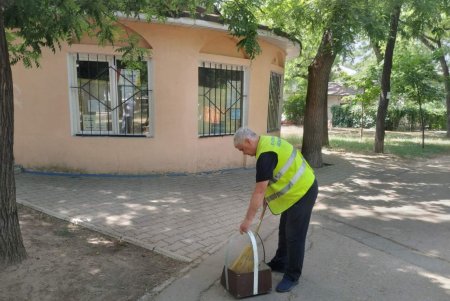 Коммунальщики отремонтировали бювет в Михайловском сквере (фото)