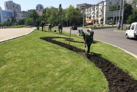 Площадь 10 Апреля украсят композиции из летних цветов (фото)