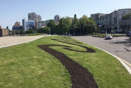 Площадь 10 Апреля украсят композиции из летних цветов (фото)