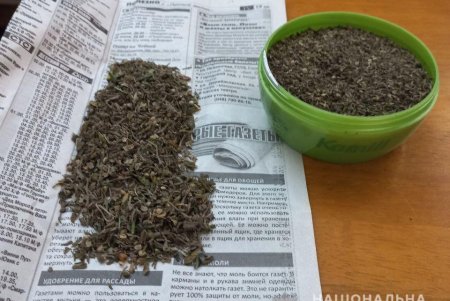 В Одесской области выявили пятерых сбытчиков конопли (фото, видео)