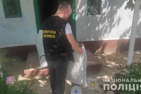 Уроженец России выращивал в Одесской области на продажу коноплю (фото, видео)