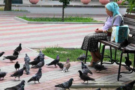 Александровский проспект в воскресный день (фоторепортаж)