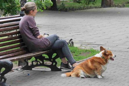 Александровский проспект в воскресный день (фоторепортаж)