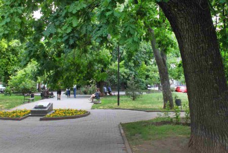 Александровский проспект в воскресный день (фоторепортаж)