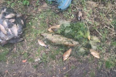 Двое жителей Подольского района наловили рыбы на более 600 тысяч гривен (фото)