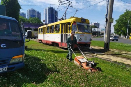 Коммунальщики показали ежедневную работу городских озеленителей в фотографиях (фото)