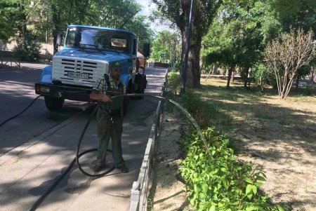 Коммунальщики показали ежедневную работу городских озеленителей в фотографиях (фото)