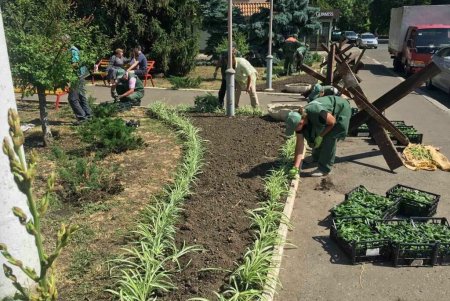 Коммунальщики показали ежедневную работу городских озеленителей в фотографиях (фото)