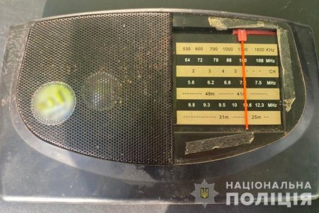 Правоохранители привлекут к ответственности за кражи 10 жителей Одесской области, среди которых один несовершеннолетний (фото)