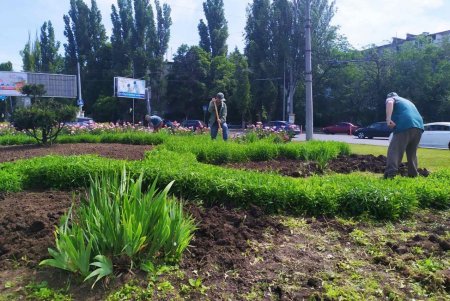 На площади Толбухина высадили петунии (фото)