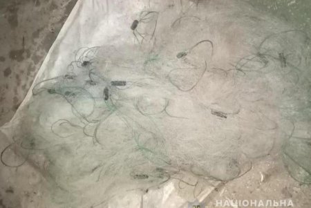 На озере Кагул поймали браконьера, который наловил рыбы на 100 тысяч гривен (фото)