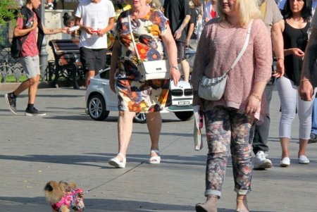 В Городской саду прошел музыкальный марафон в поддержку ВСУ (фоторепортаж)