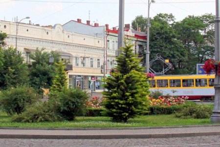 Цветущая Тираспольская площадь (фоторепортаж)