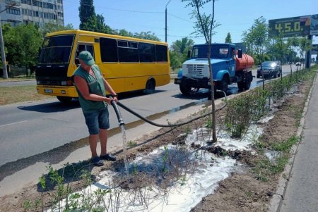 Поливают растения, сажают цветы: озеленители ежедневно наводят порядок на улицах города (фото)