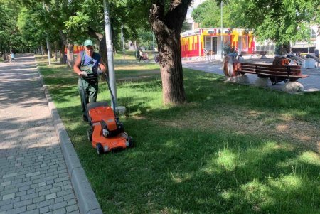 Поливают растения, сажают цветы: озеленители ежедневно наводят порядок на улицах города (фото)