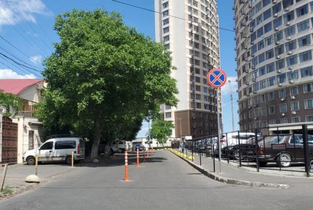 На одной из улиц Приморского района установлены делинаторы (фото)
