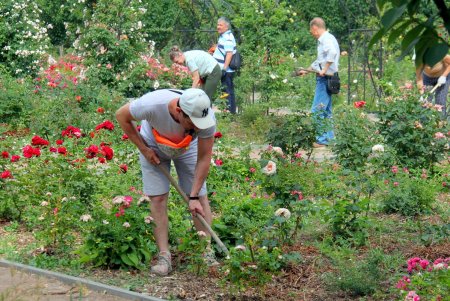Одесситы приняли участие в благоустройстве новой территории Ботанического сада (фоторепортаж)