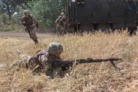 Подразделение бригады морской пехоты практикуется с британскими бронемашинами Mastiff в степях Одесской области (фото)