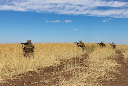 Подразделение бригады морской пехоты практикуется с британскими бронемашинами Mastiff в степях Одесской области (фото)