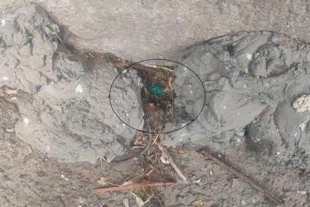 На Балковской задержали двух закладчиков с 26 свертками наркотиков (фото)