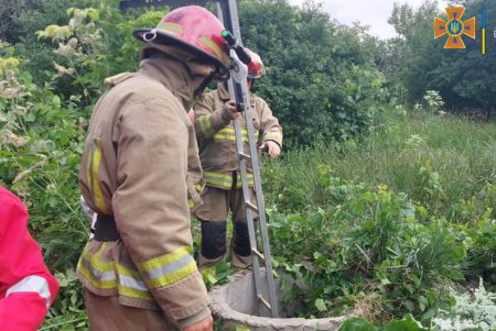 В Березовском районе спасатели вытащили женщину, упавшую в четырехметровый колодец (фото, видео)