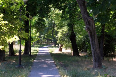 В сквере Космонавтов гуляют родители с детьми, на площадке играют в футбол, а возле фонтана горожане отдыхают от летней жары (фоторепортаж) 
