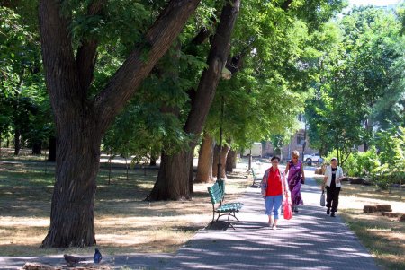 В сквере Космонавтов гуляют родители с детьми, на площадке играют в футбол, а возле фонтана горожане отдыхают от летней жары (фоторепортаж) 
