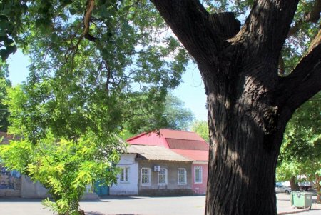 Неспешная прогулка по колоритной Молдаванке (фоторепортаж)