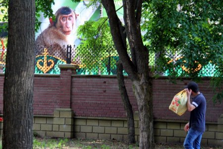 В Одесском зоопарке прошел День украинской песни (фоторепортаж)