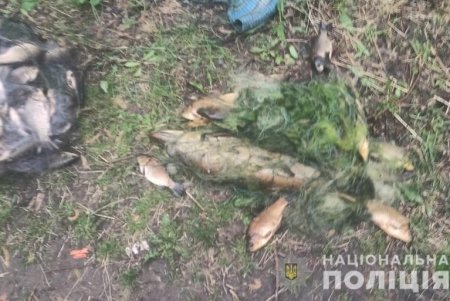 В Одесской области браконьеры незаконно выловили несколько сотен ценных видов рыб (фото)