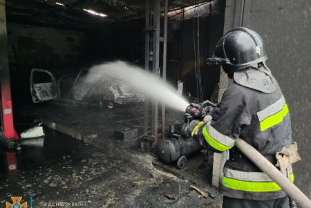 Более сорока спасателей тушили возгорание двух гаражей и автомобиля на улице Фабричной (фото)