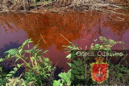 Во время расчистки Куяльницкой канавы коммунальщики обнаружили неизвестное вещество: проводится экспертиза (фото)     