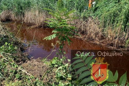 Во время расчистки Куяльницкой канавы коммунальщики обнаружили неизвестное вещество: проводится экспертиза (фото)     