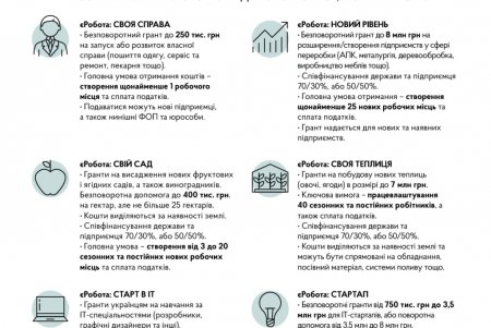 В Украине запустили грантовую программу «єРобота»