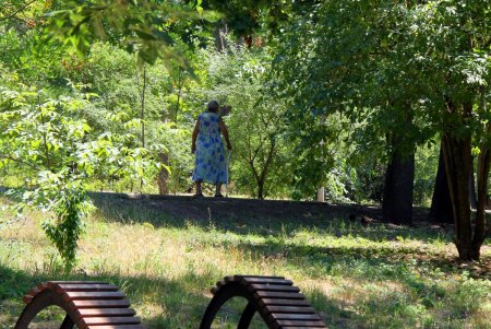 Природная красота парка Победы: водоемы, черепахи, утки, редкие деревья и кустарники (фоторепортаж)