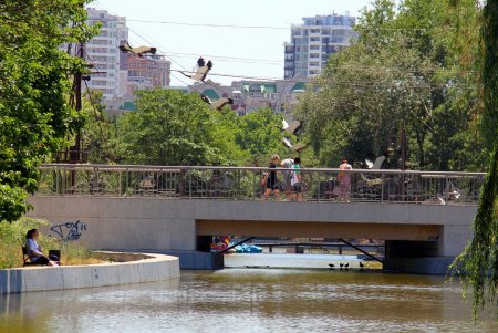 Природная красота парка Победы: водоемы, черепахи, утки, редкие деревья и кустарники (фоторепортаж)