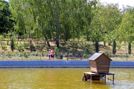 Природная красота парка Победы: водоемы, черепахи, утки, редкие деревья и кустарники (фоторепортаж)