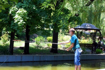 Природная красота парка Победы: водоемы, черепахи, утки, редкие деревья и кустарники (фоторепортаж)