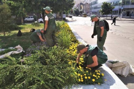 Озеленители украсили клумбы на Думской площади цветочными узорами и полностью высадили летники (фото)