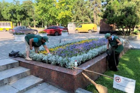 Озеленители украсили клумбы на Думской площади цветочными узорами и полностью высадили летники (фото)