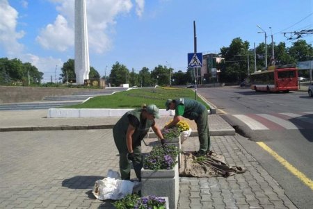 Озеленители украсили клумбы на Думской площади цветочными узорами и полностью высадили летники (фото)