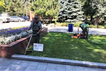 Озеленители украсили клумбы на Думской площади цветочными узорами и полностью высадили летники (фото)