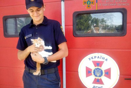 В Подольске спасатели приютили котенка и считают его своим символом (фото)