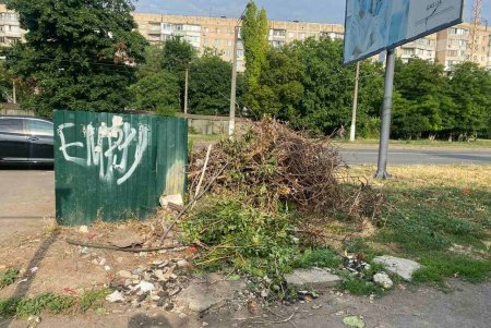 Вместо стихийной свалки на Люстдорфской дороге коммунальщики установили мусорные контейнеры и высадили цветы (фото)