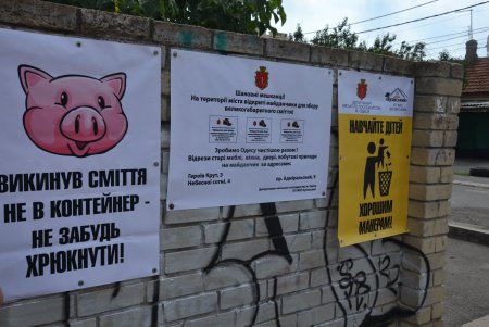 Вместо стихийной свалки на Люстдорфской дороге коммунальщики установили мусорные контейнеры и высадили цветы (фото)