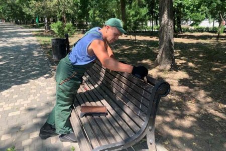 Уборка сухостоя и травы, подрезка деревьев, полив растений: 130 озеленителей ежедневно выполняют работы в зеленых зонах города (фото)