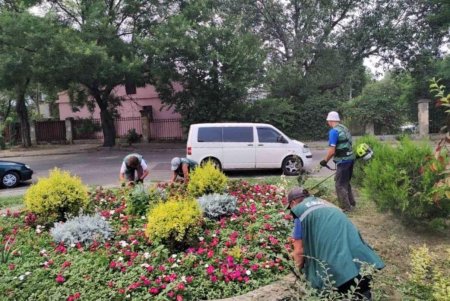 Уборка сухостоя и травы, подрезка деревьев, полив растений: 130 озеленителей ежедневно выполняют работы в зеленых зонах города (фото)