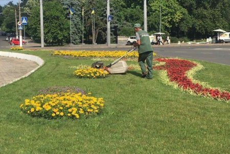 Уборка сухостоя и травы, подрезка деревьев, полив растений: 130 озеленителей ежедневно выполняют работы в зеленых зонах города (фото)